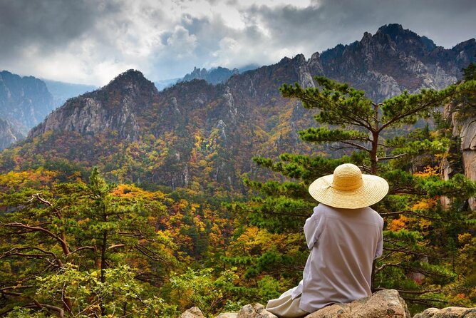 5-Day Korea Golden route by K-shuttle Tour from Seoul Including Busan, Yeosu - Key things that make this tour work (and feel fun)