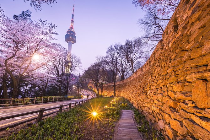 Afternoon Seoul: Hanok Vibes, Netflix Street Food & N Seoul Tower - Who This Afternoon Seoul Tour Fits Best