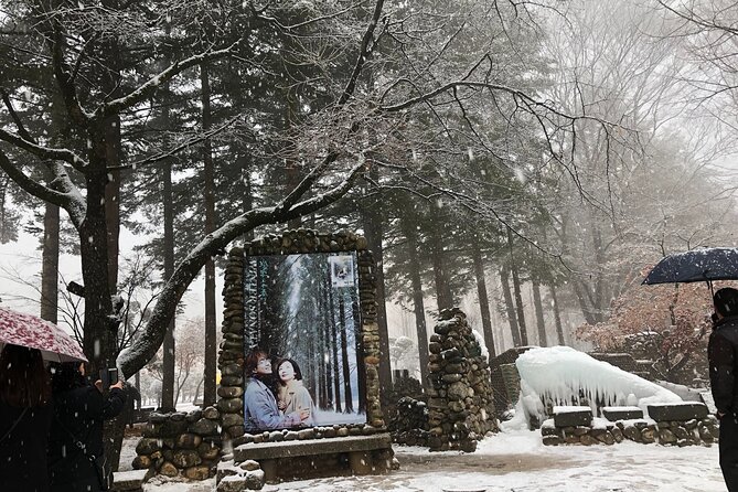 Alpaca, Nami, Eobi with Rail Bike or Strawberry - Alpaca World, Nami Island, and Eobi: the winter route that fits one day