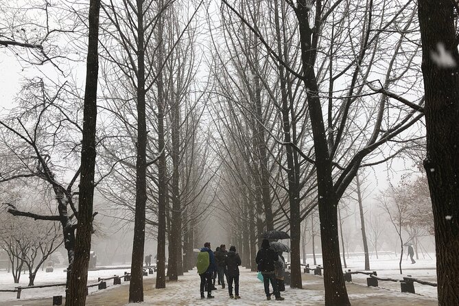 Alpaca, Nami, Eobi with Rail Bike or Strawberry - Nami Island: ferry ride, winter romance, and the half-moon walk