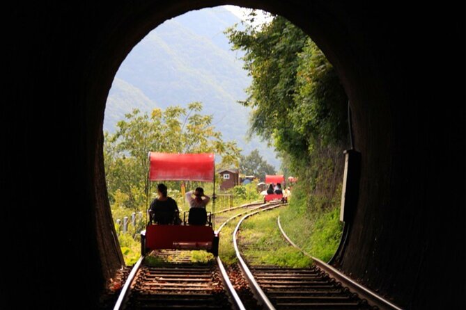 Alpaca World and Nami Island with Gangchon Rail Bike Tour - Timing and pacing: how to make the most of limited hours