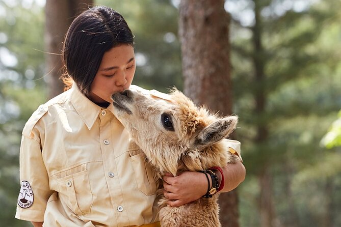 Alpaca World & Nami Island & Garden of Morning Calm One Day Tour - A day outside Seoul: how the pacing really feels