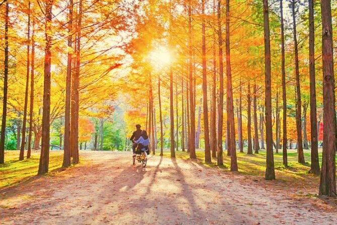 Alpaca World & Nami Island & Garden of Morning Calm One Day Tour - Nami Island: Winter Sonata vibes and long tree-lined walks