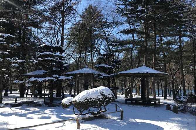Alpaca World & Nami Island & Garden of Morning Calm One Day Tour - Logistics and comfort: long rides, but manageable with the right mindset