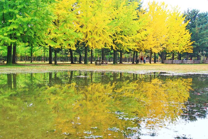 Alpaca World Tour with Nami Island (optional Railbike or Garden) - Gangchon Rail Park: railbikes on an old train track