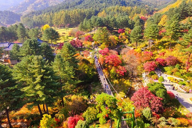 Alpaca World Tour with Nami Island (optional Railbike or Garden) - Garden of Morning Calm: classic strolls with a light festival twist