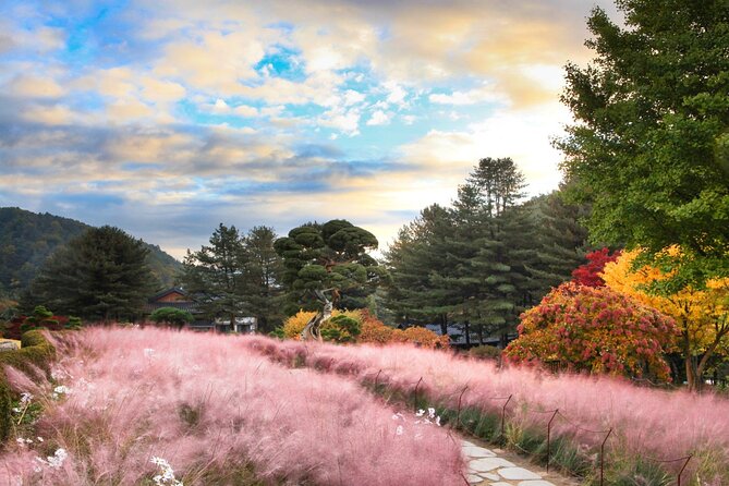 Alpaca World Tour with Nami Island (optional Railbike or Garden) - The Stay Healing Park and the Starlight Festival lights