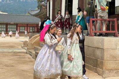 Best Seoul City Tour (Gyeongbokgung Palace,Insadong,Namsan Tower) - Getting on the van: pickup, meeting points, and why they matter