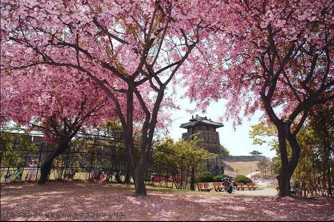 Day Tour of Suwon Hwaseong Fortress Starfield Waujeongsa Temple - Who this Suwon day tour fits best