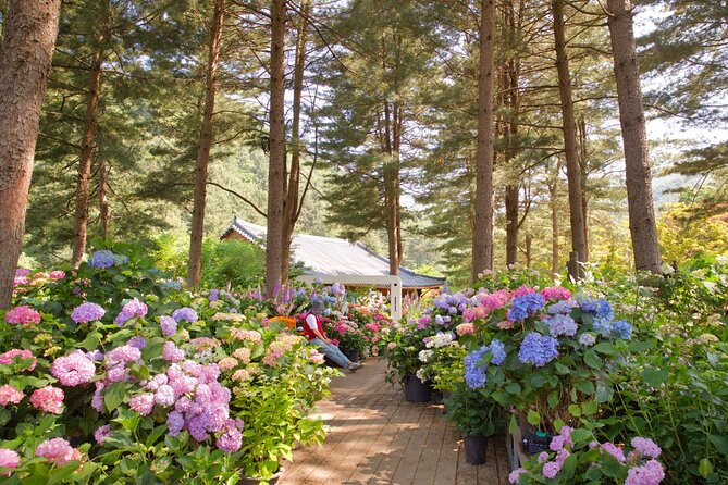 Day Trip to Nami Island with Rail bike and The Garden of Morning Calm - Price and value: what $76.19 buys you (and what it doesn’t)