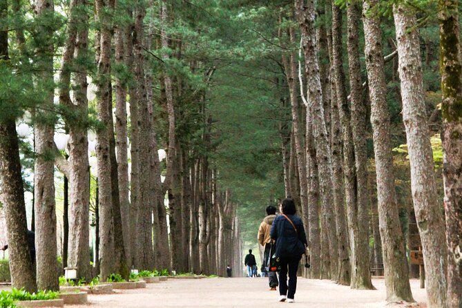 Day Trip to Nami Island with Rail bike and The Garden of Morning Calm - The Garden of Morning Calm: quiet paths and seasonal displays