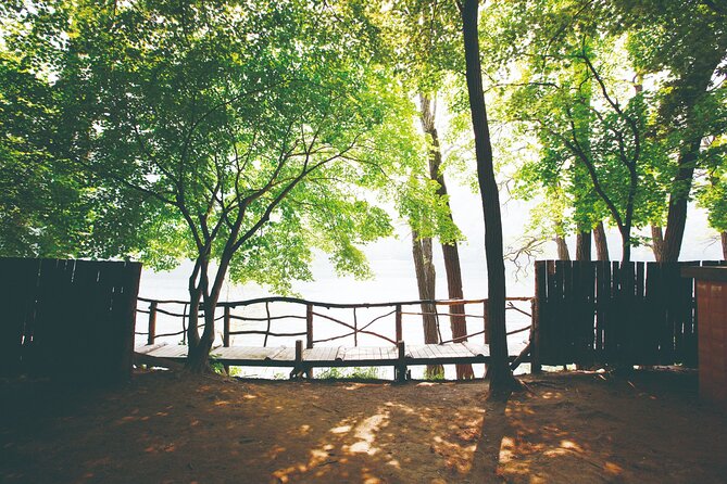 Day Trip to Nami Island with The Garden of Morning Calm - Season Notes and the Eobi Ice Valley Option