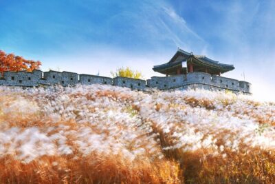 Day Trip to UNESCO: Suwon Fortress Adventure from Seoul - Price and value: what $48 buys you (and what it doesn’t)