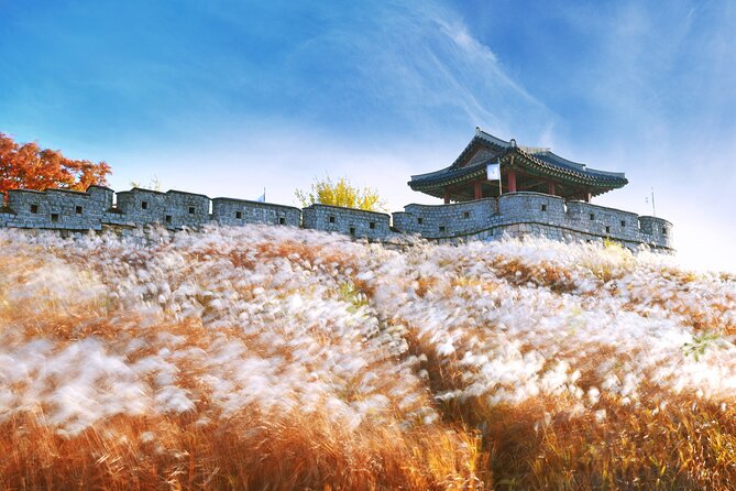 Day Trip to UNESCO: Suwon Fortress Adventure from Seoul - Price and value: what $48 buys you (and what it doesn’t)