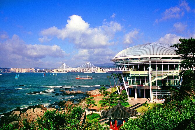Discover Eastern Korea in 4days: All-Inclusive Experience - Hotels, meals, and the group-travel rhythm (what’s actually comfortable)