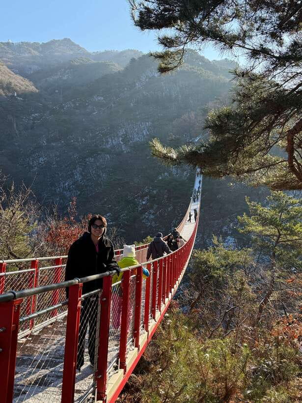 DMZ; NK Defector, 3rd Tunnel, Suspension Bridge,Hotel pickup - DMZ from Seoul: how the day builds from warning signs to close-up facts