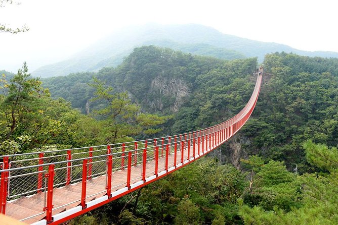 DMZ Tour: 3rd Tunnel, Option(Suspension Bridge, Boat) from Seoul - Suspension bridge options near Mt. Gamaksan or Lake Majang