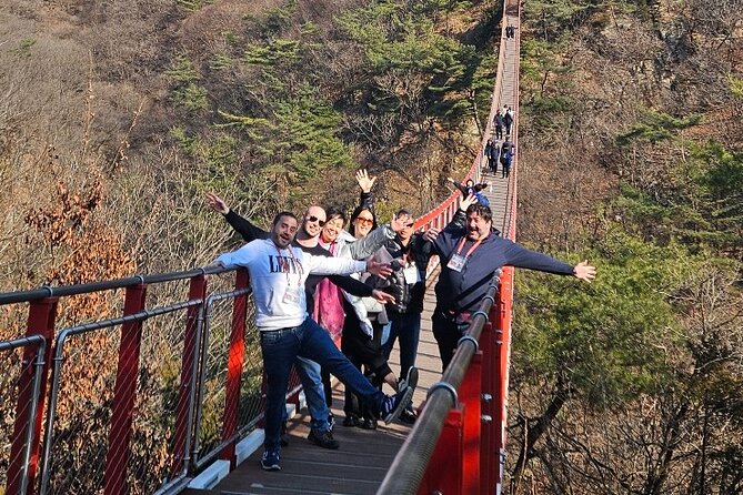 DMZ Tour from Seoul – Optional Suspension Bridge Experience - Dorasan Station and the Reality of Military Closures