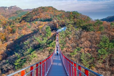 DMZ Tour Seoul to North Korea's 3rd Tunnel & Majang Lake Crossing - Imjingak Tourist Center: the quick clearance moment that matters