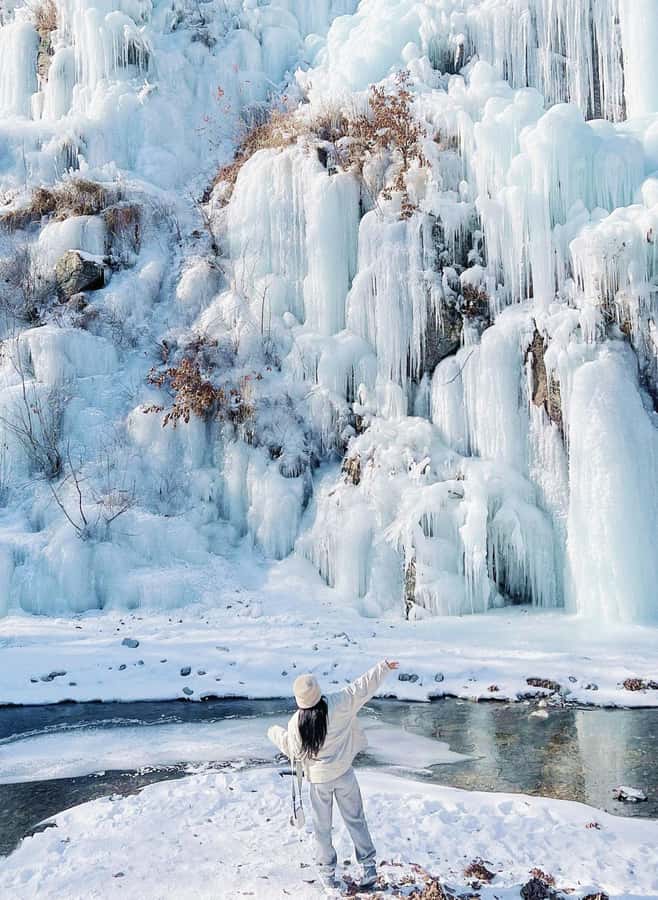 Eobi Ice Valley & Nami (+ Light Festival, Railbike, Alpaca) - Garden of Morning Calm Light Festival: when the cold turns photogenic