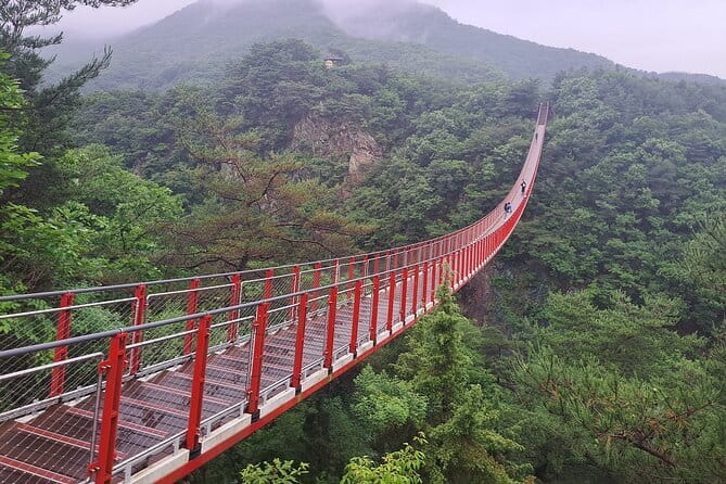 Explore DMZ from Seoul +(optional) Gondola/Red Suspension Bridge - Key things I’d circle before you go