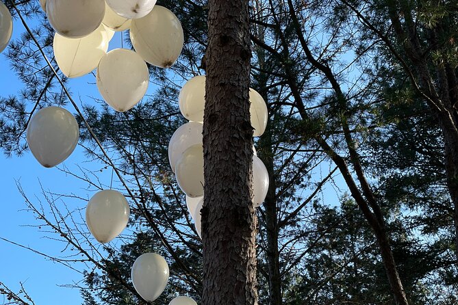 Four Seasons of Nami Island with Garden of Morning Calm Tour - Petit France and the ginseng shopping stop: what to expect without over-optimizing