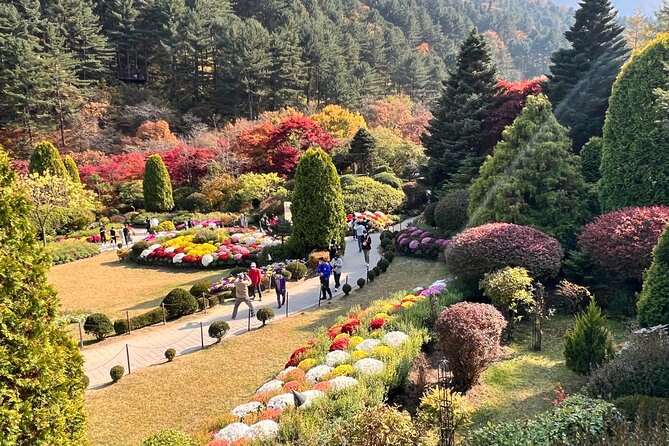 Four Seasons of Nami Island with Garden of Morning Calm Tour - Should you book this tour?