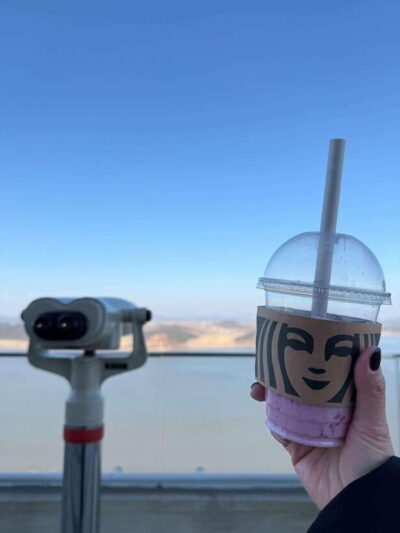From Seoul: Aegibong Starbucks Observatory & DMZ View - Your 5-hour route from Seoul: Eco Park first, Jogang Observatory next