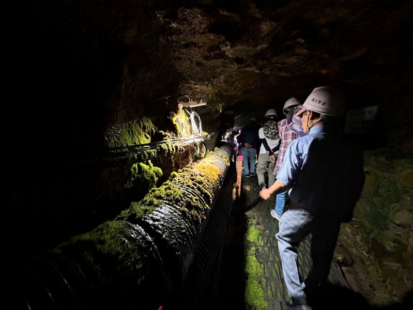 From Seoul: Cheorwon DMZ and 2nd Tunnel Tour with Lunch - Hantangang Y-Bridge: the walk that gives your brain a breather
