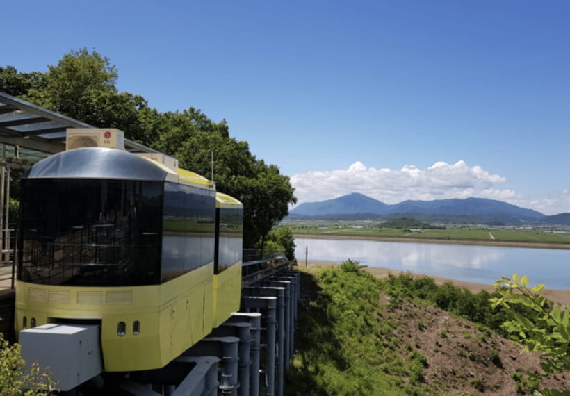 From Seoul: DMZ 2nd Tunnel & Y Shaped Suspension Bridge Tour - The Y-shaped suspension bridge: the emotional reset you didn’t know you needed