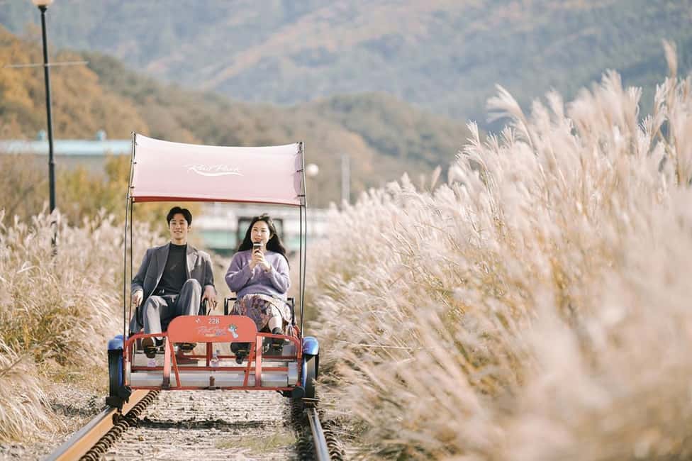 From Seoul: Nami Island, K-drama Garden & Rail Bike Day Tour - Morning Calm’s seasonal magic (including winter lighting)