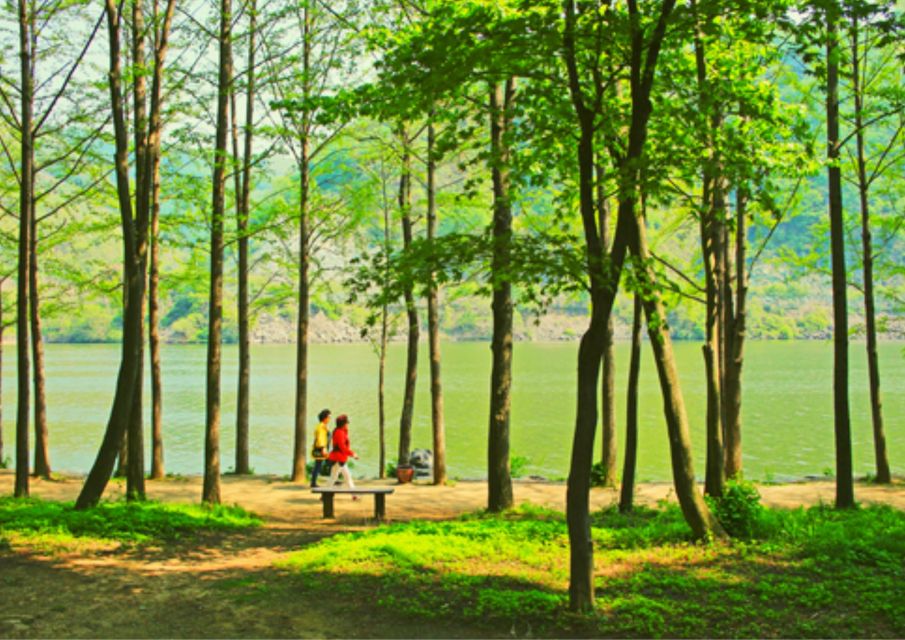 From Seoul: Nami Island, K-drama Garden & Rail Bike Day Tour - Price and value: what you’re really paying for