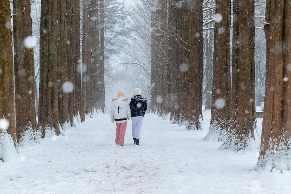 From Seoul: Nami Island, K-drama Garden & Rail Bike Day Tour - Gangchon Rail Bike: the most fun moment for many people