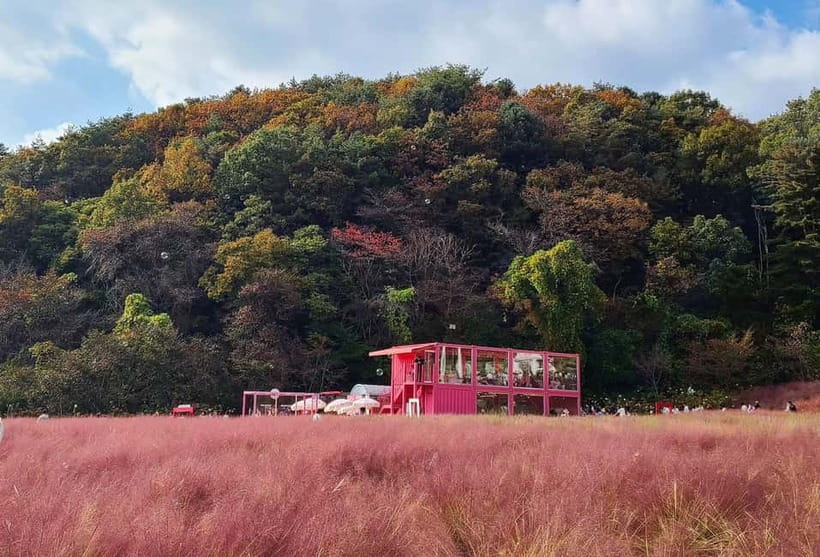 From Seoul: Pocheon, Sanjung Lake and Bidulginang Fall Trip - Sanjung Lake: the calm break between big sights
