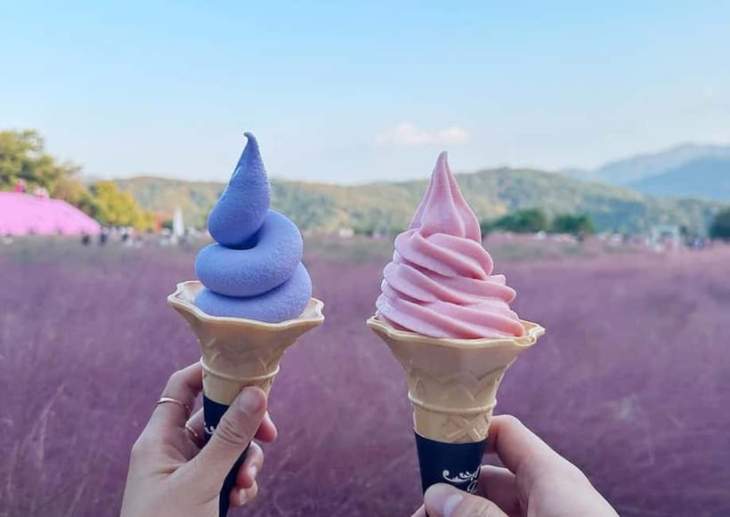From Seoul: Pocheon, Sanjung Lake and Bidulginang Fall Trip - Herb Island and the pink-hill photos: Pink Muhly Grass season