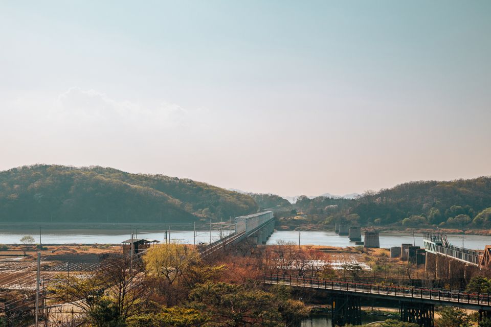 From Seoul: Private DMZ and Odusan Observatory Full-Day Tour - Along the barbed-wire fence: the view is one thing, the rules are another
