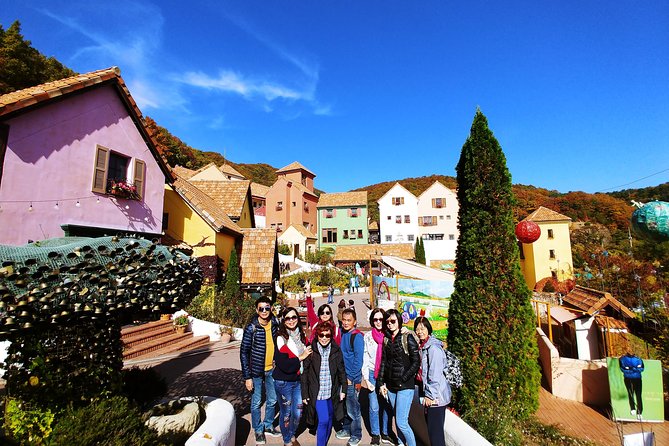 Full-Day Customizable Private Tour to Nami Island and surrounding Area - Why a private Nami Island day feels worth the price