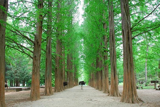 Full-Day Customizable Private Tour to Nami Island and surrounding Area - Soyang River Sky Walk: short, sweet, and paid-free