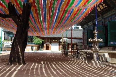 Full-Day Palace Tour in Seoul - Gyeongbokgung Palace + National Folk Museum: a great opening combo
