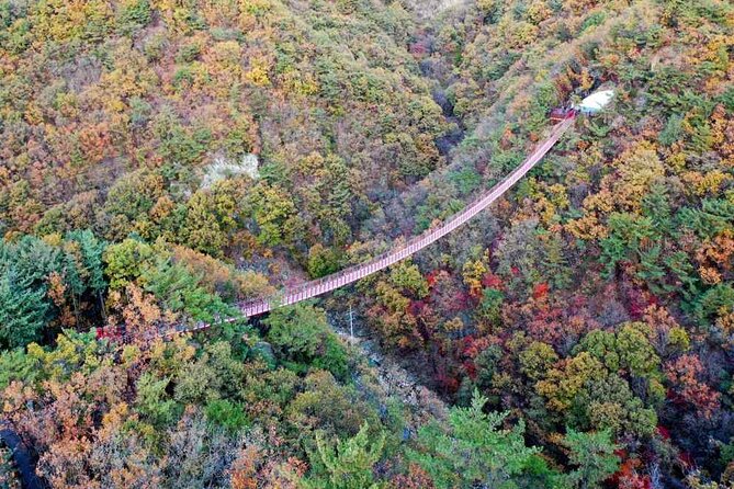 Full Day Private Tour DMZ (The 3rd Tunnel) & Suspension Bridge - Dora Observatory: three floors of what you can see