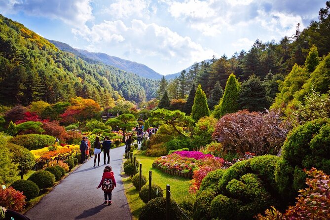 Full Day Private Tour Nami Island, Garden & Petite France - Petite France: French-Themed Culture Through a Korean Lens