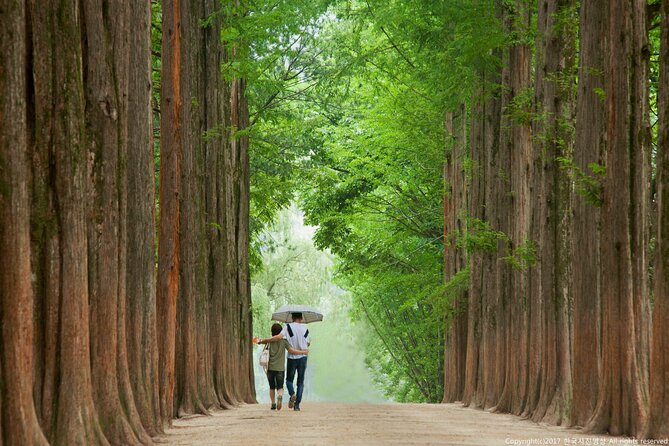 Full Day Private Tour Nami Island, Garden & Petite France - Pinocchio and Da Vinci: Italian Village Fun That Stays Ticketed