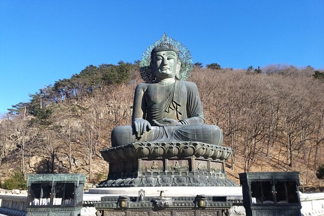 Full-Day Tour in Mt. Seorak & Nami (+Rail Bike Option) - Nami Island: Winter Sonata Walks, Art Corners, and Tree-Lined Calm