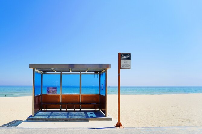 Full Day Tour In The Soop BTS Ver in PyeongChang Filming Location - From Insadong to Gangwon: the 12–13 hour bus logistics that matter