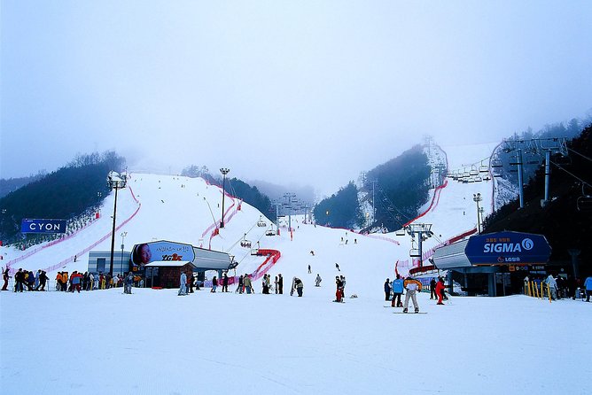 Gangchon Elysian Ski Day Trip from Seoul - Gangchon Elysian Ski Day Trip: the big idea and what you get