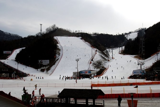 Gangchon Elysian Ski Day Trip from Seoul - Choosing an option: ski tour vs ski package vs snow slide