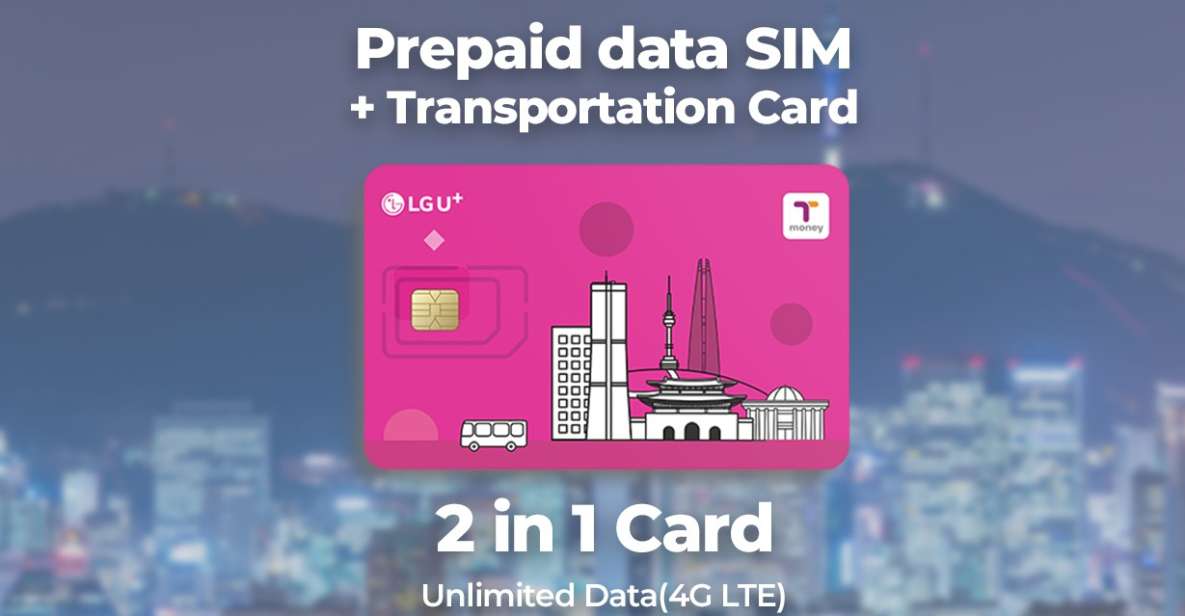 Incheon Airport: Traveler SIM & T-money Transportation Card - Key Things That Make This Incheon Pickup Worth It