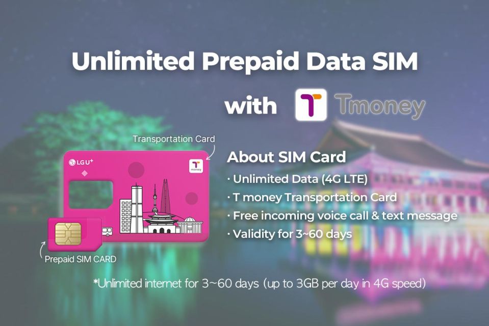 Incheon Airport: Traveler SIM & T-money Transportation Card - Network Speed and Real-World Usability