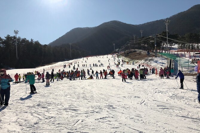 Jisan Ski One Day Tour - Price and what the $22 actually covers (and what it doesn’t)