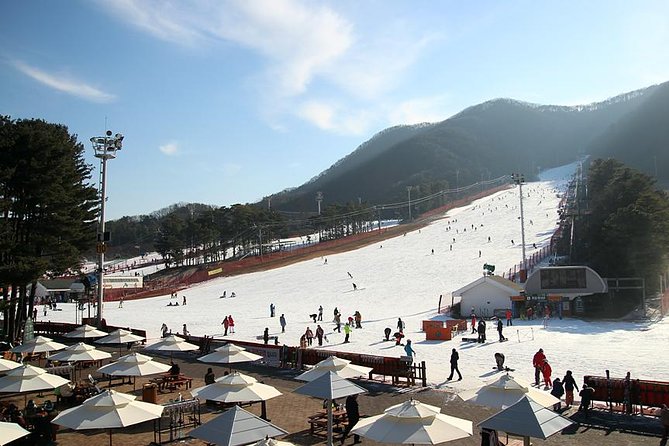 Korea Ski Tour from Seoul - Jisan Resort with Isaac Toast - The 120-Minute Lesson: What Beginner Skiers Can Actually Expect